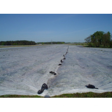 6.40 m x 250 meters agricultural non-woven